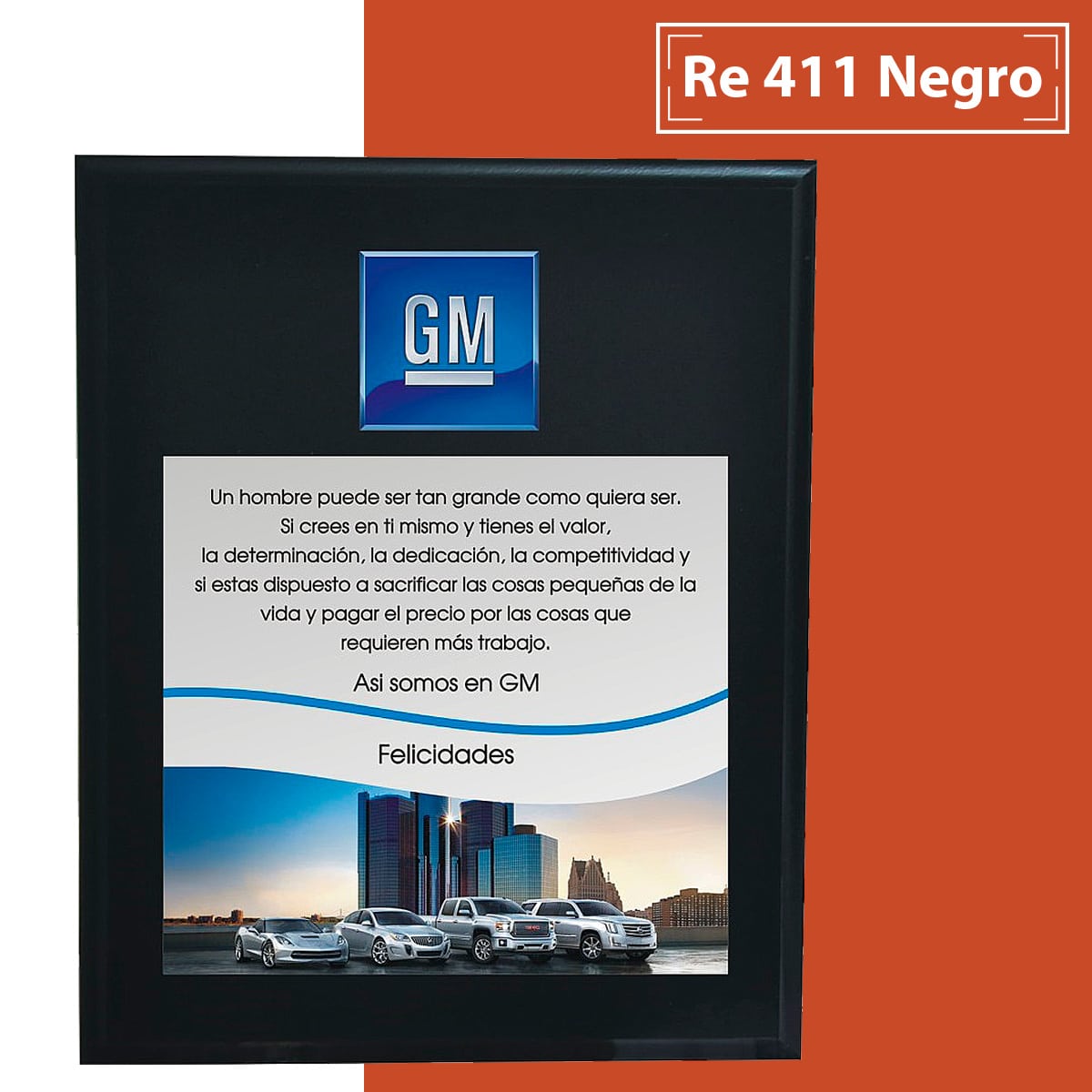 RE411-Negro-1