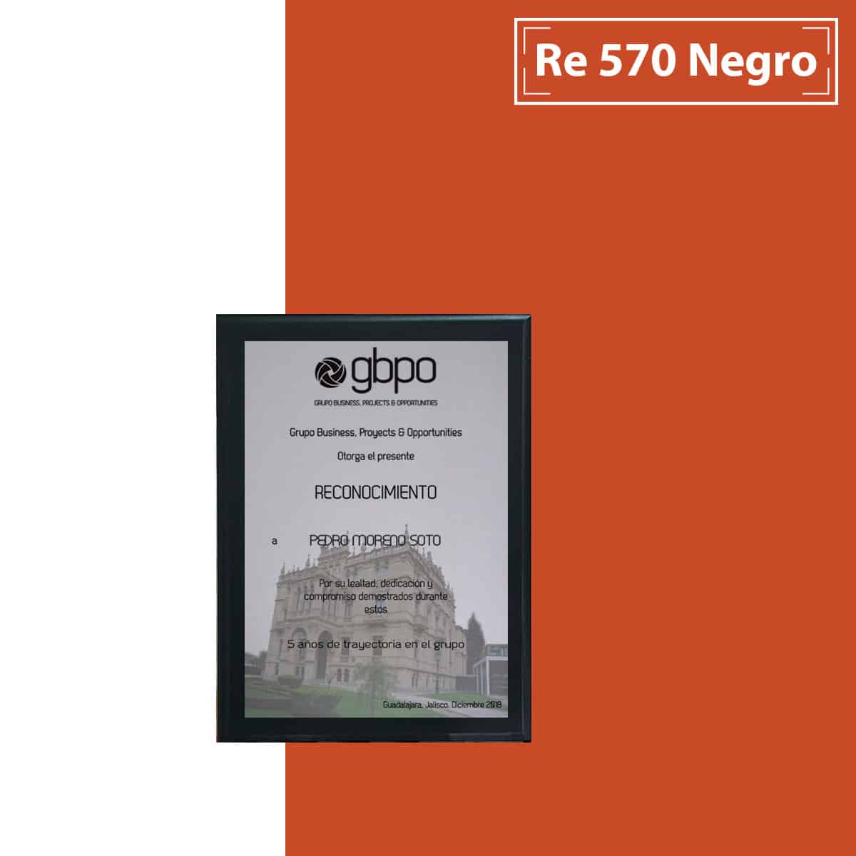 RE570-Negro-1